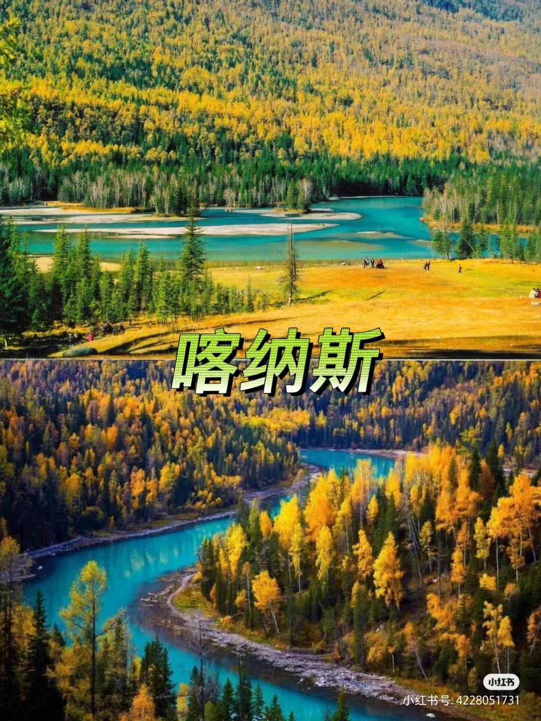 DƬ